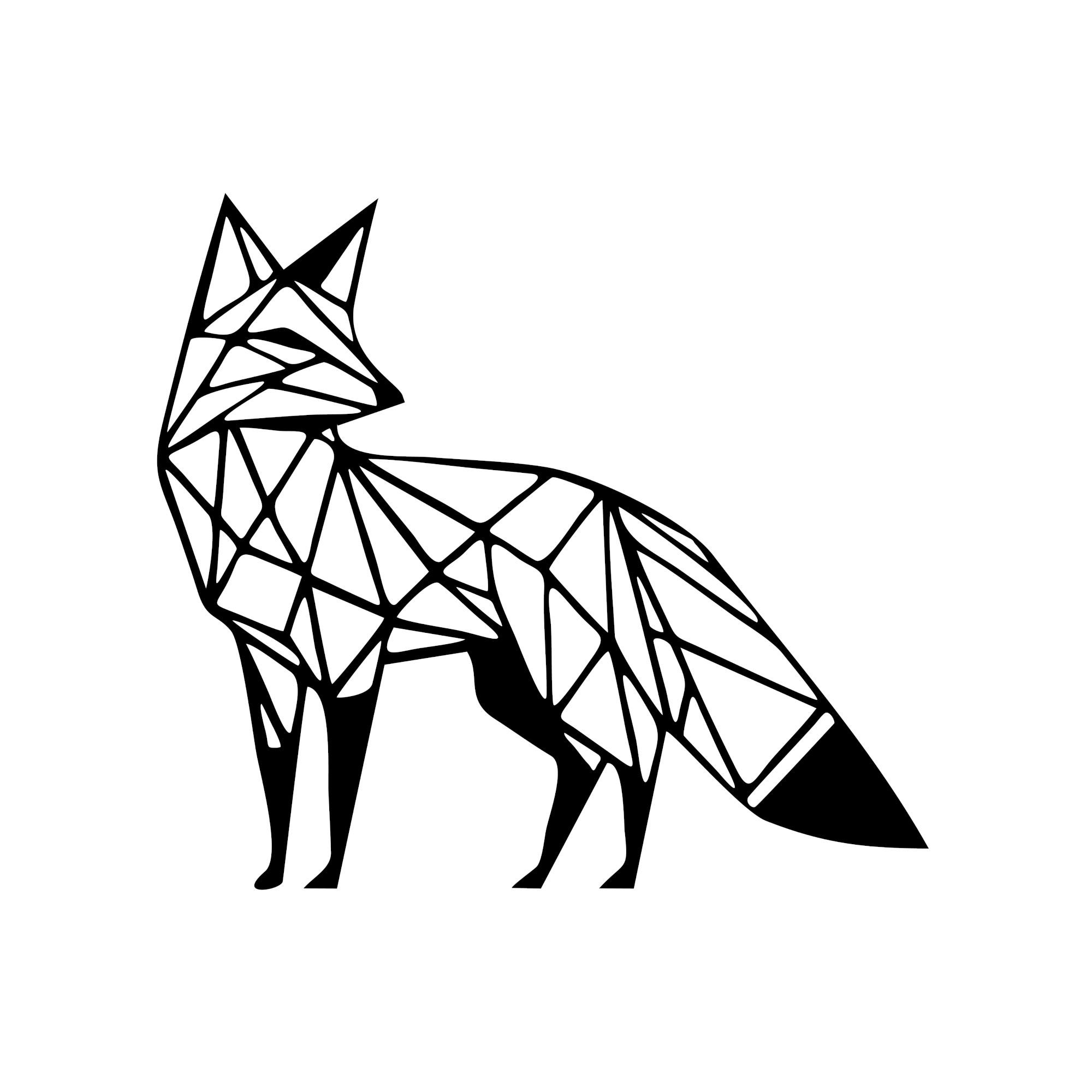 Fuchs geometrisch